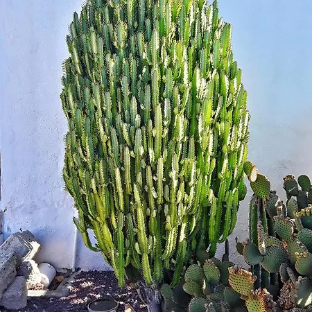 Casa Drago - Perenquen. *