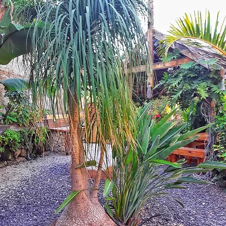 Casa Drago - Perenquen. Alcala (Tenerife)
